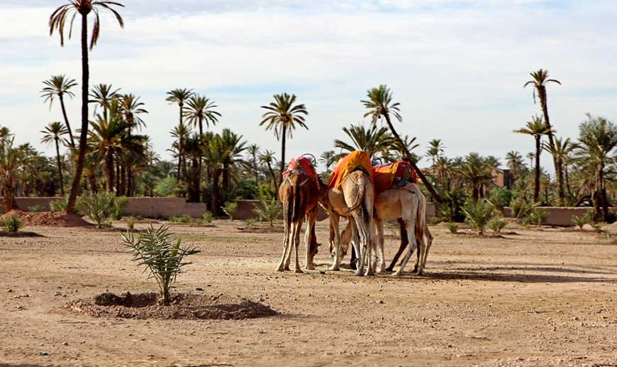 Fes to Merzouga 3 Days