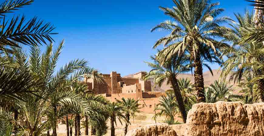 Casablanca to Zagora 4 days